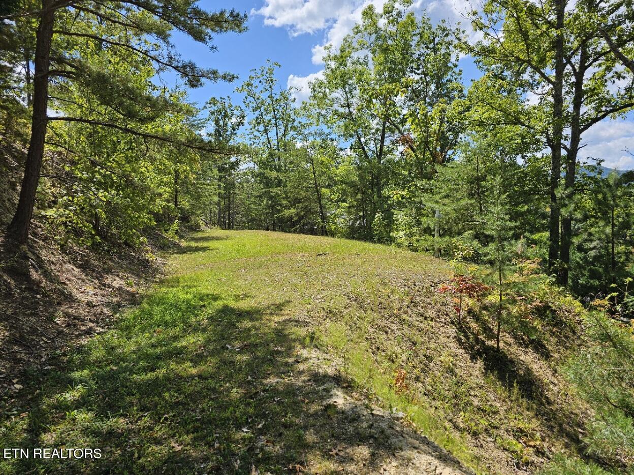 Phase B Crown Circle Sevierville TN 37862