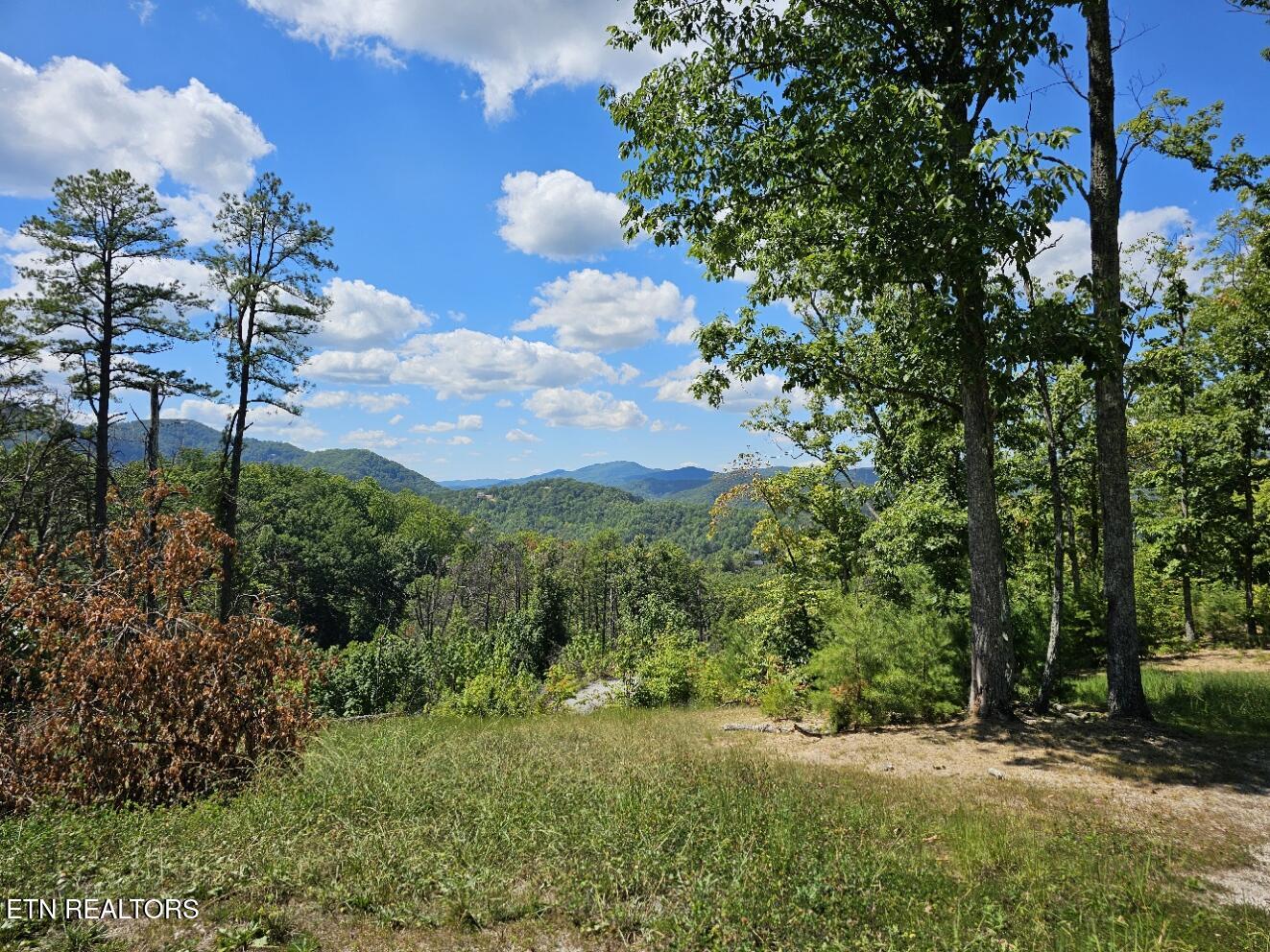 Phase B Crown Circle Sevierville TN 37862
