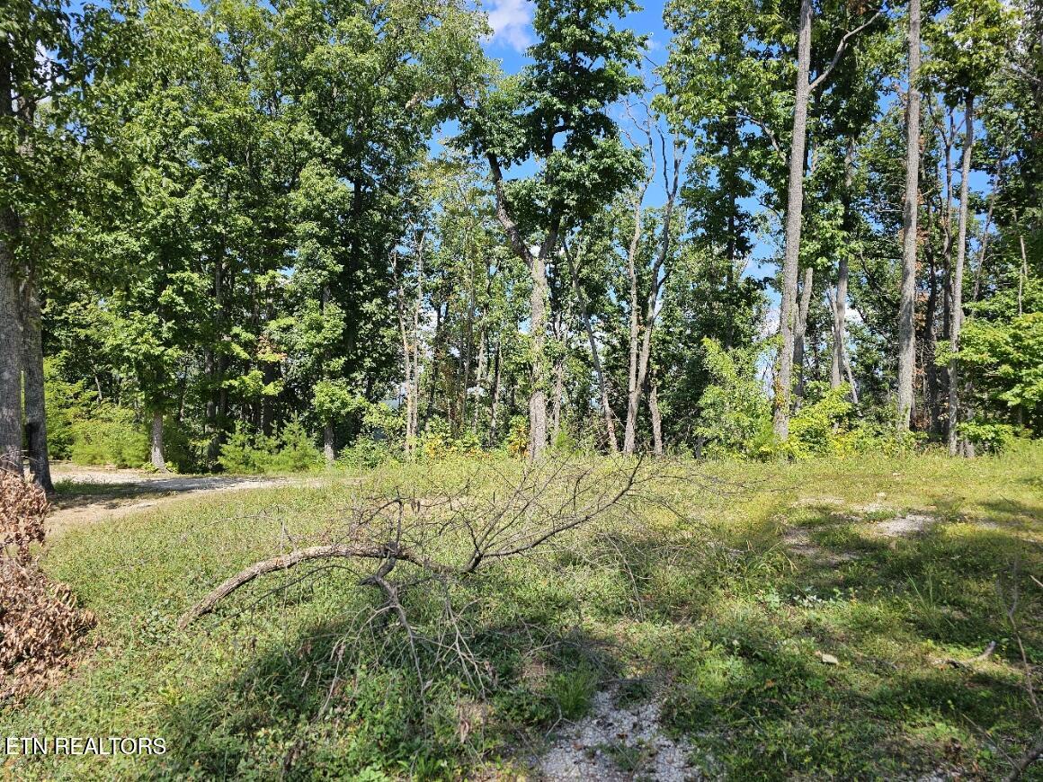 Phase B Crown Circle Sevierville TN 37862