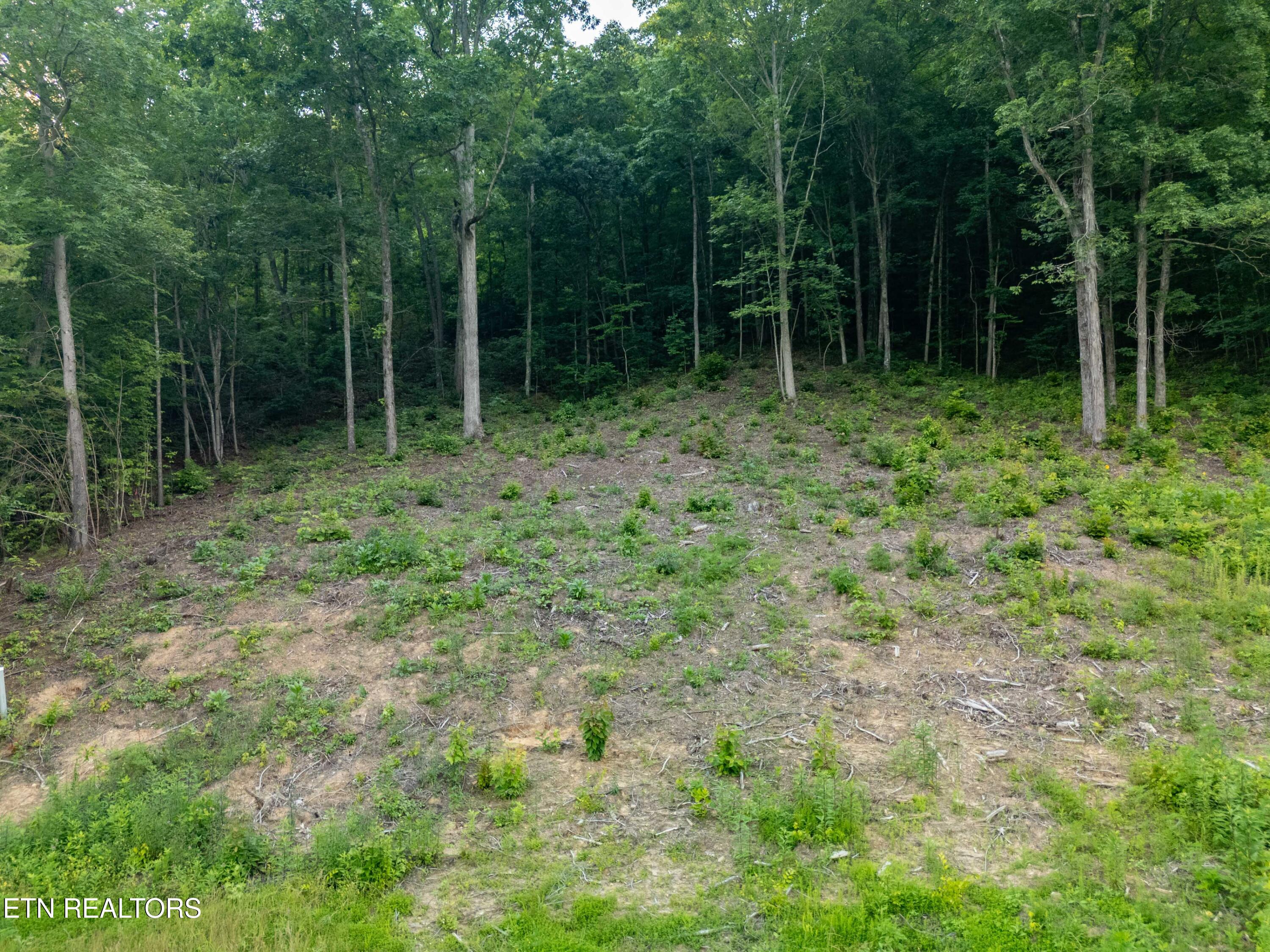 Bobbie Jean Lane Seymour TN 37865