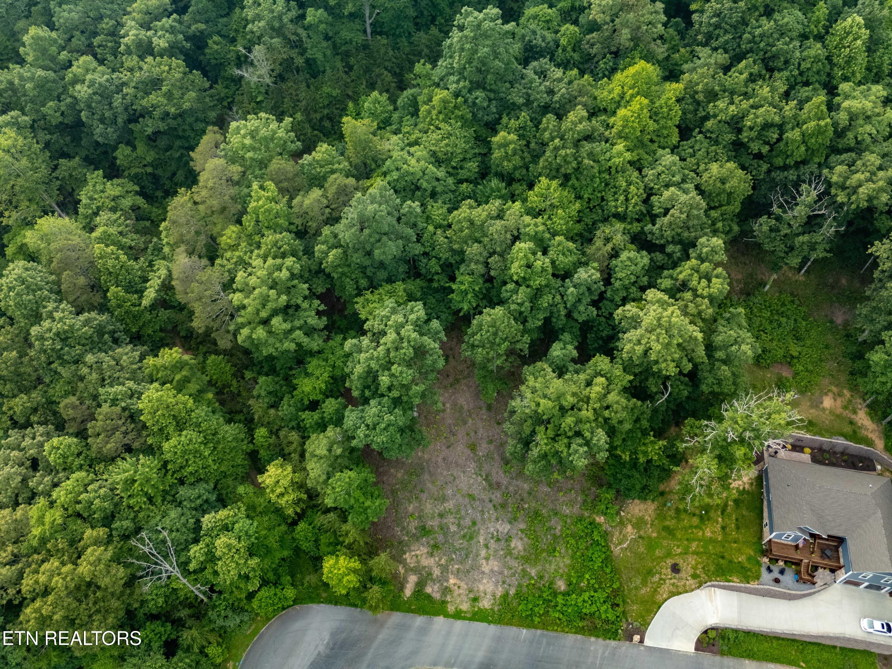 Bobbie Jean Lane Seymour TN 37865