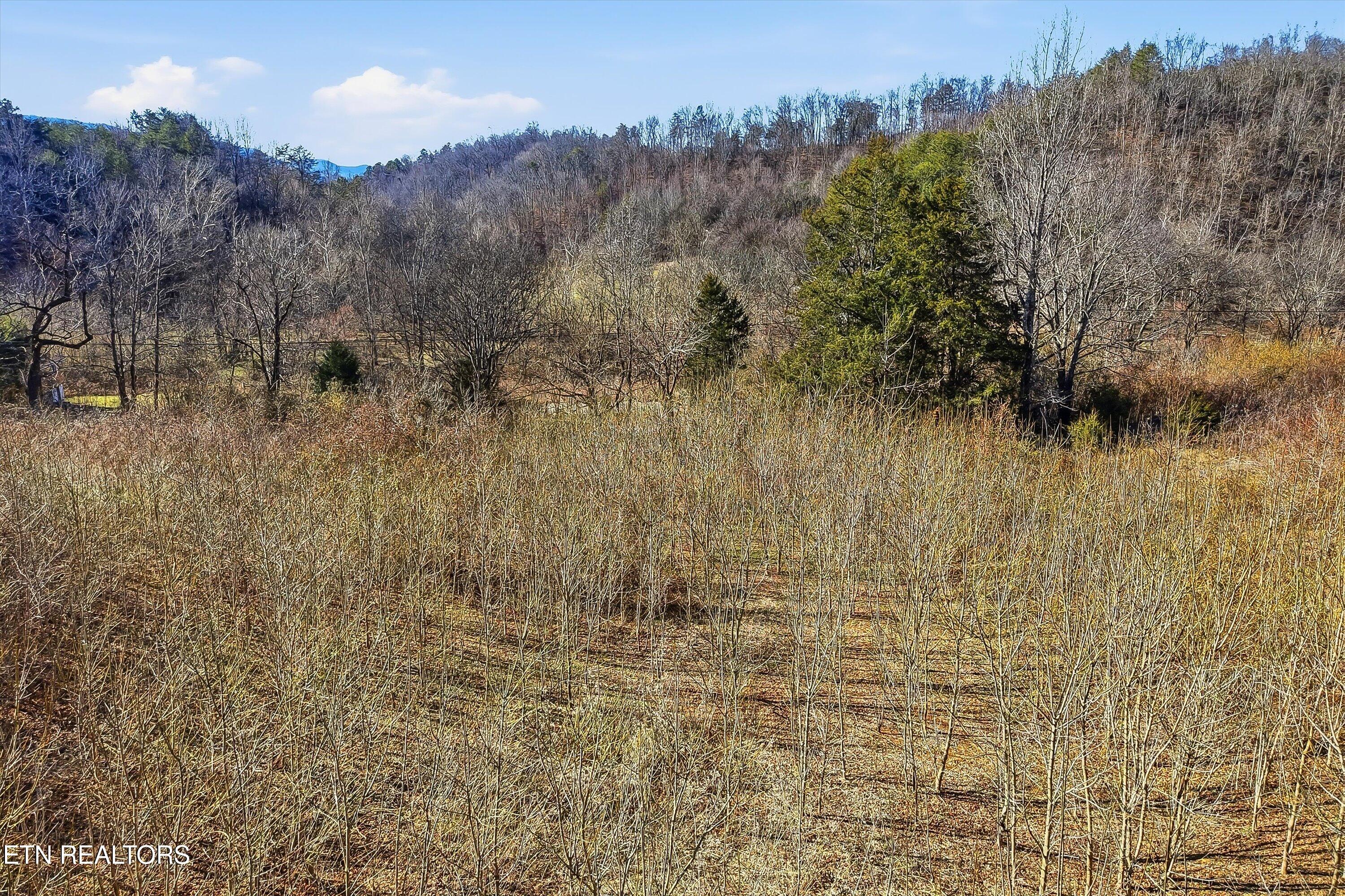 Wilkinson Pike Maryville TN 37803