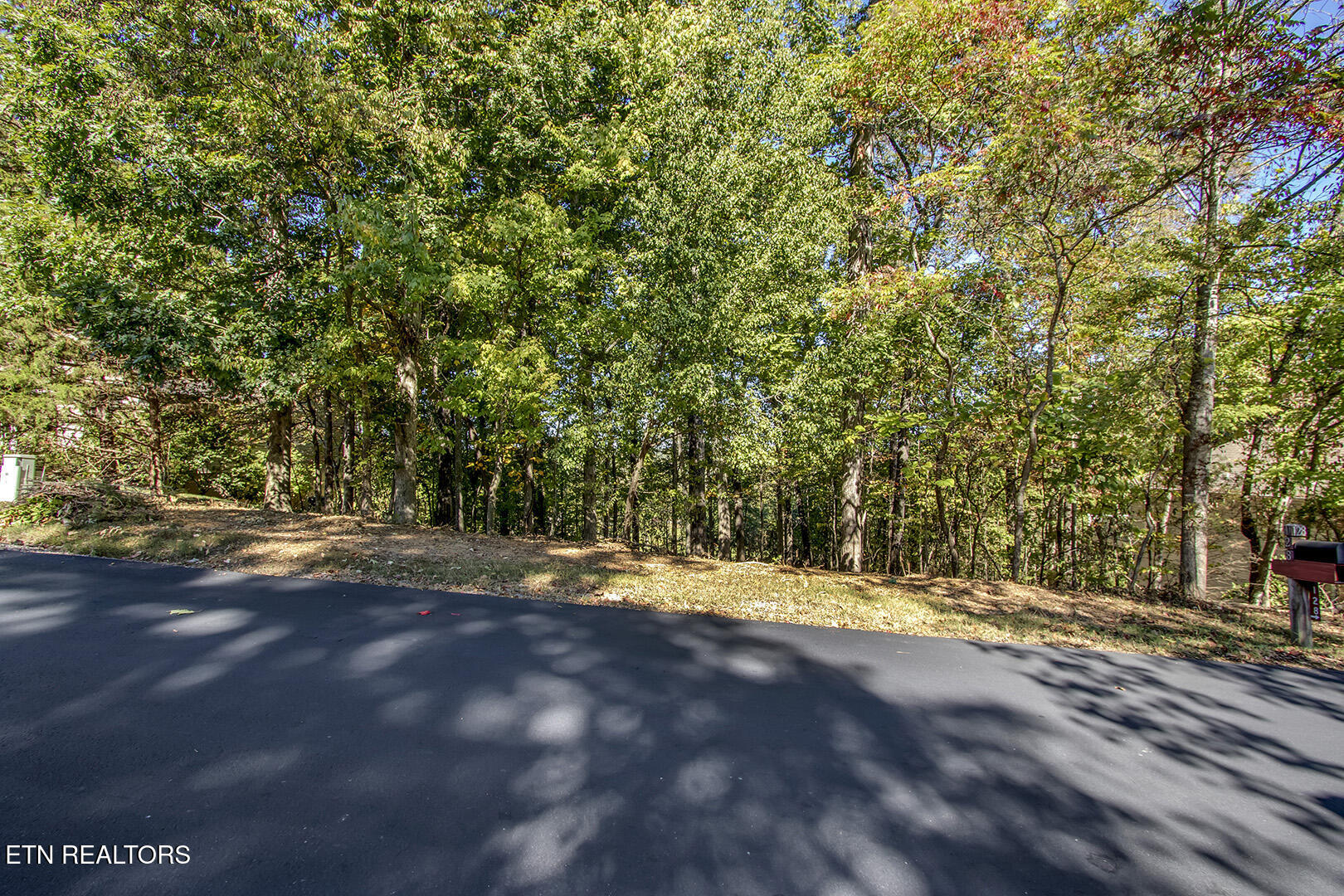 131 Kenosha Lane Loudon TN 37774