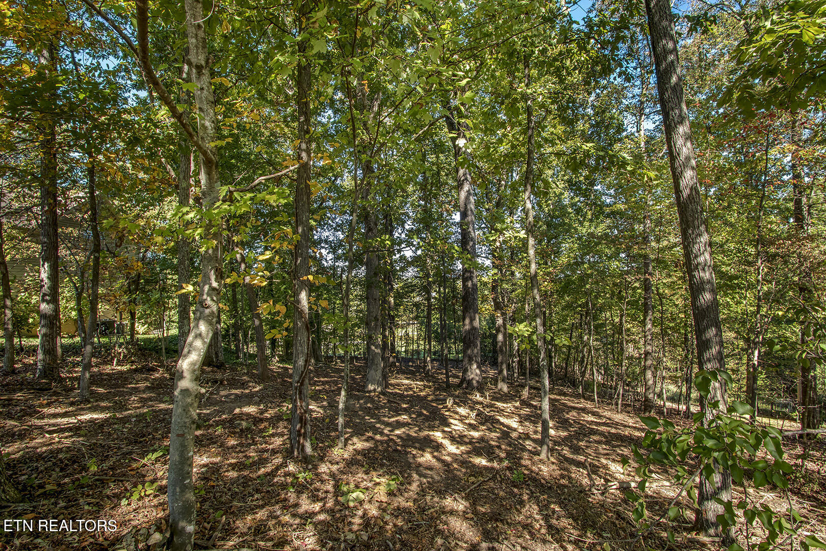 131 Kenosha Lane Loudon TN 37774