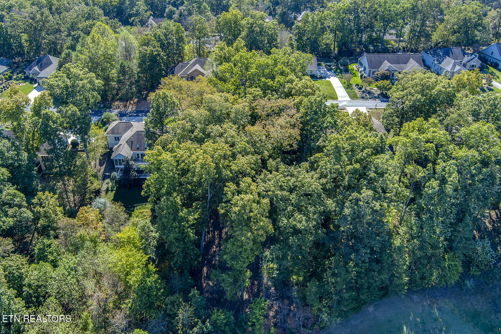 131 Kenosha Lane Loudon TN 37774