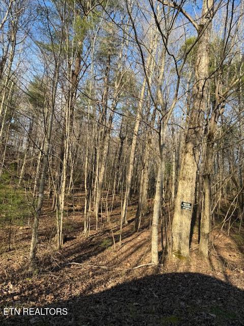 Bear Hollow Road Oneida TN 37841