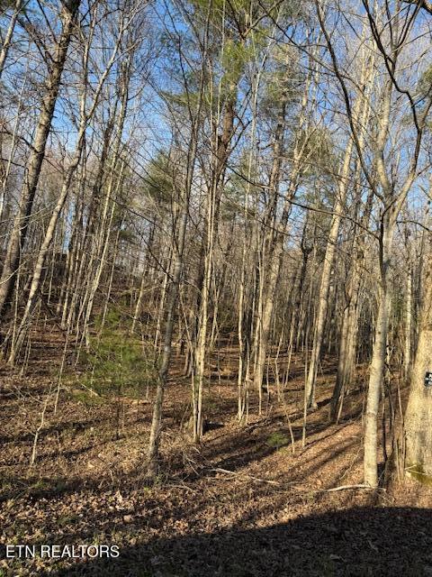 Bear Hollow Road Oneida TN 37841