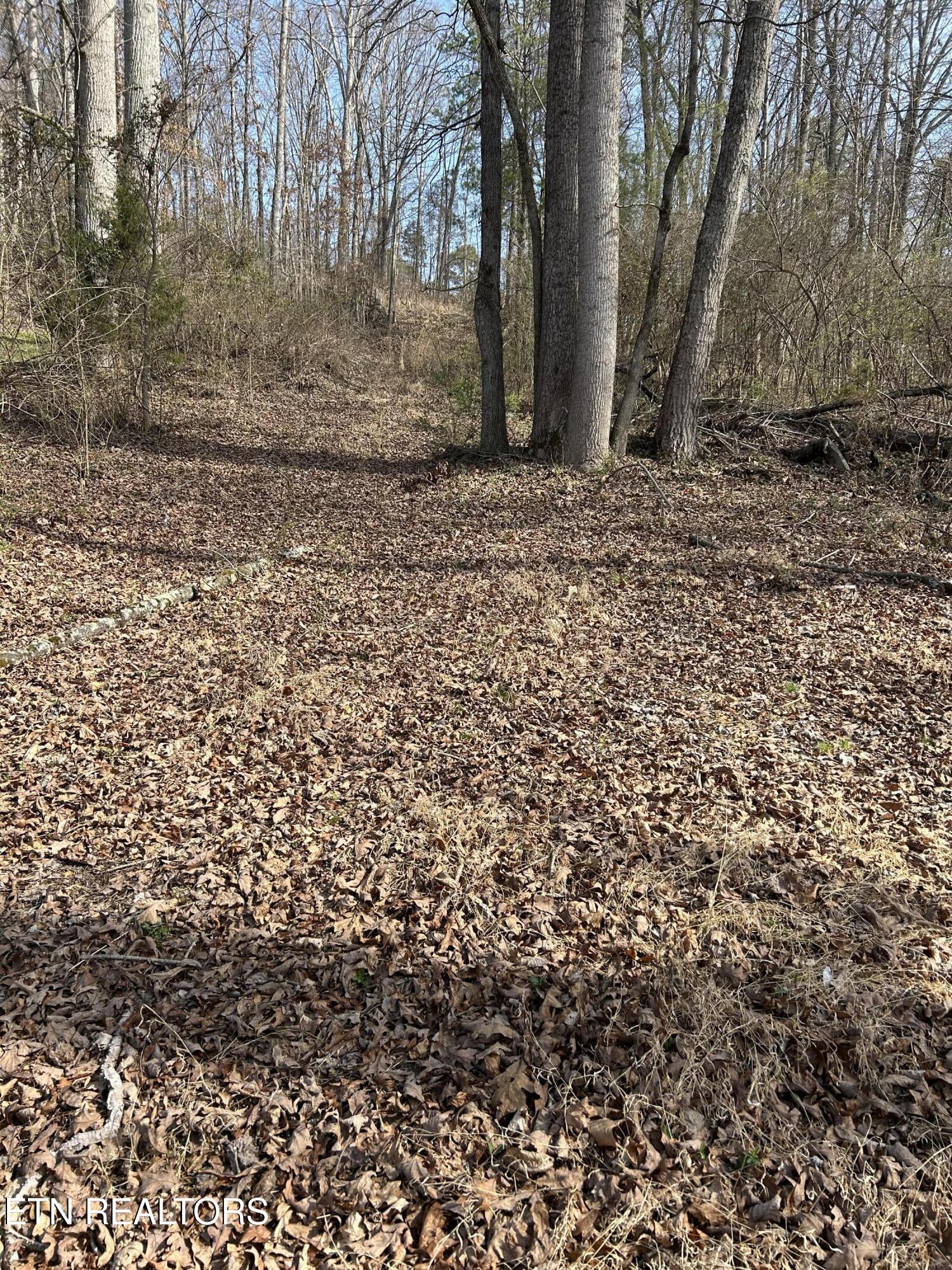 10513 Rather Road Knoxville TN 37931