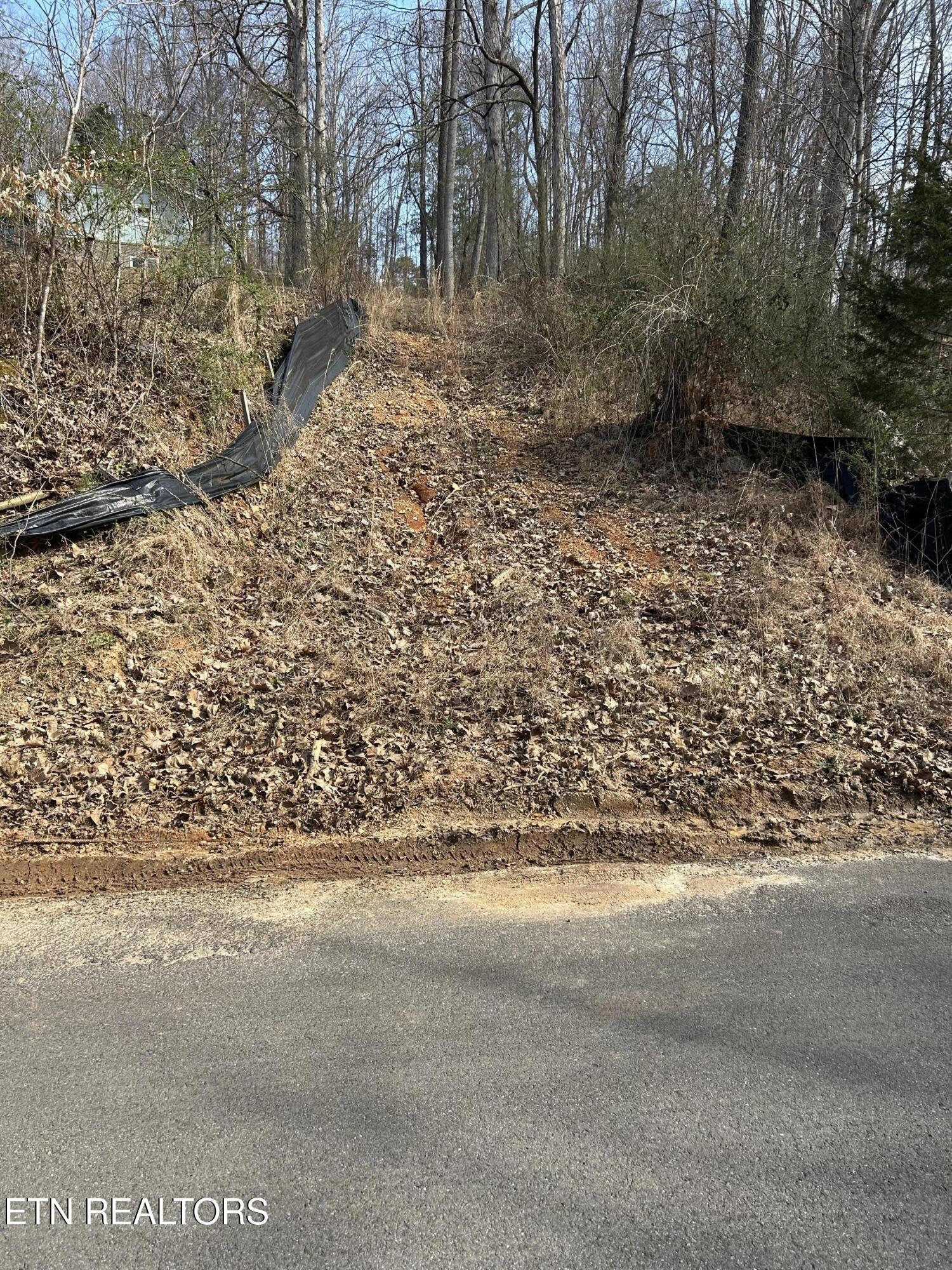 10513 Rather Road Knoxville TN 37931