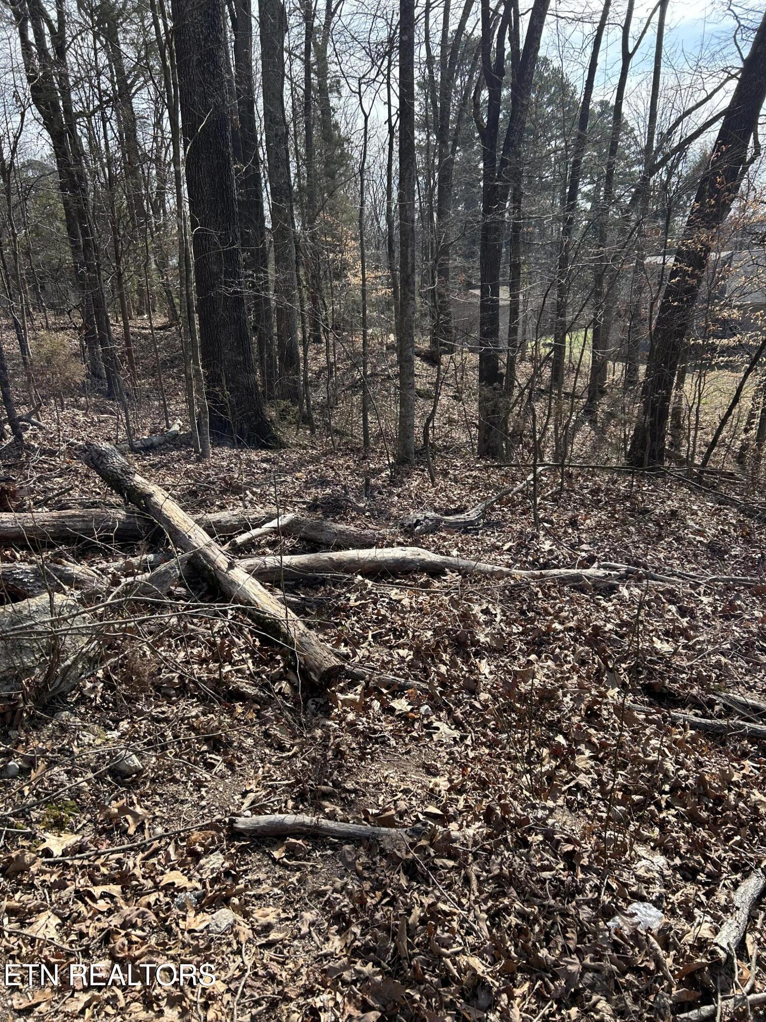 10513 Rather Road Knoxville TN 37931