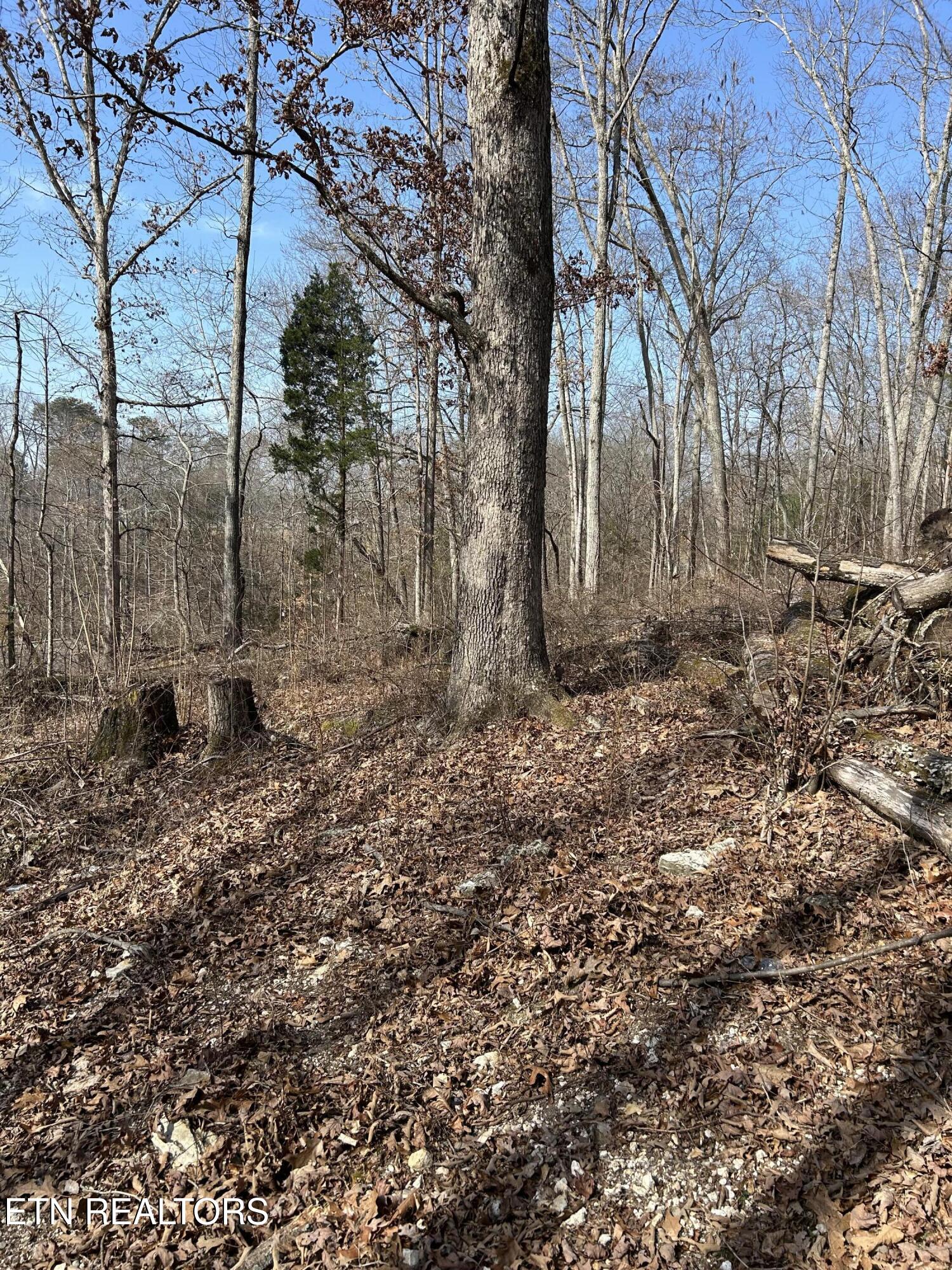 10513 Rather Road Knoxville TN 37931