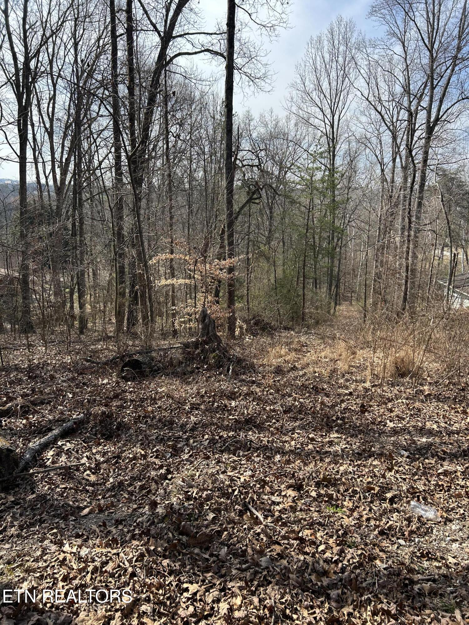 10513 Rather Road Knoxville TN 37931