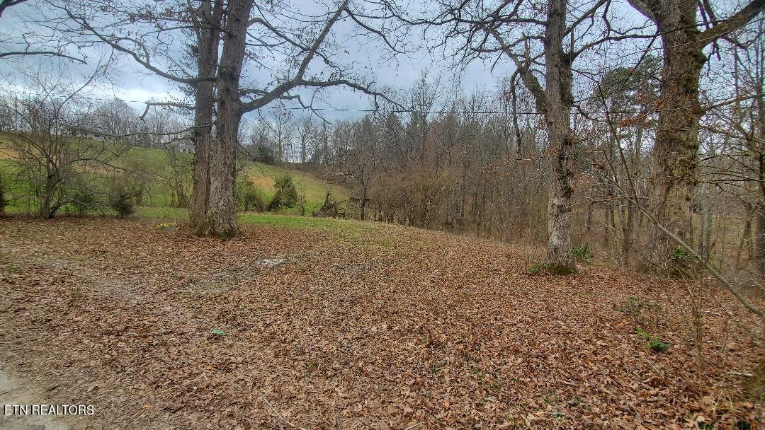 226 Keeton Lane Oneida TN 37841