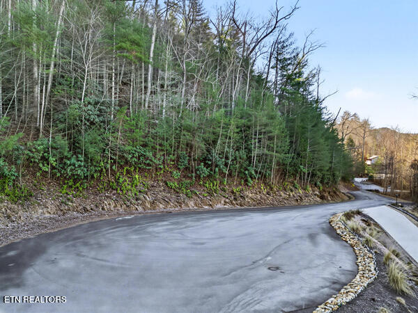 514 Chetola Trail Townsend TN 37882