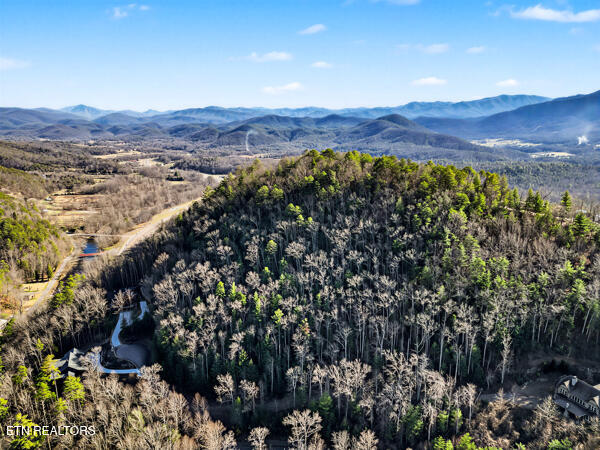 514 Chetola Trail Townsend TN 37882