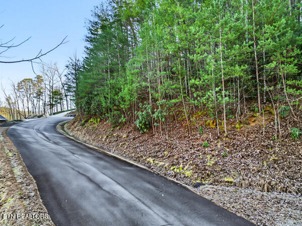 514 Chetola Trail Townsend TN 37882