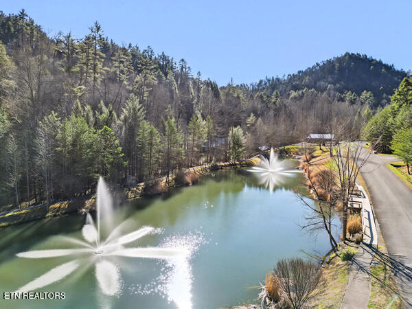514 Chetola Trail Townsend TN 37882