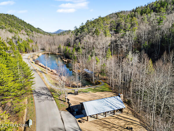 514 Chetola Trail Townsend TN 37882