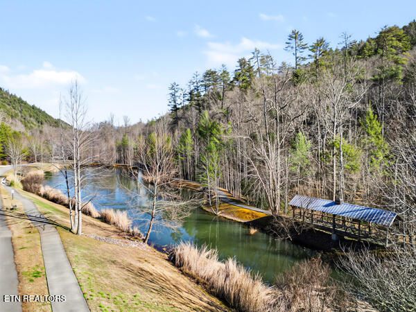 514 Chetola Trail Townsend TN 37882
