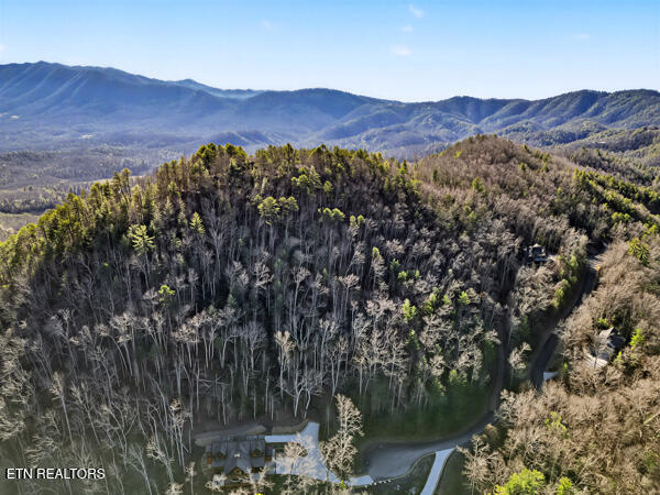 514 Chetola Trail Townsend TN 37882