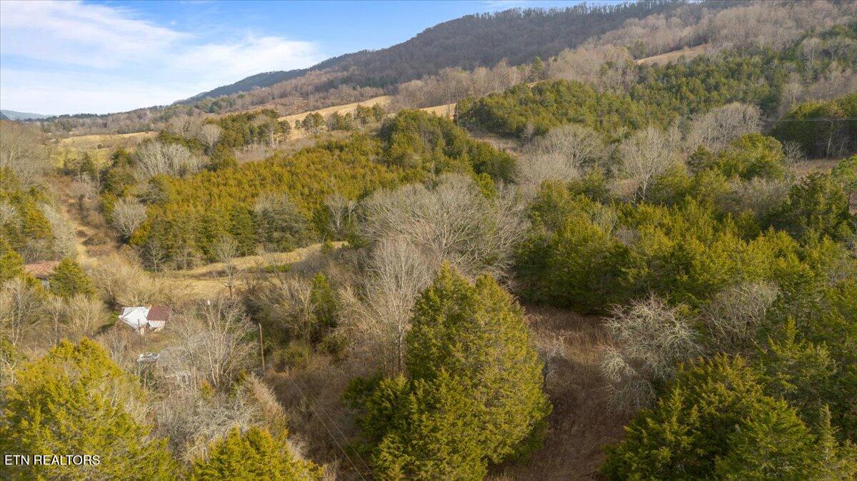 Little Sycamore Road Tazewell TN 37879