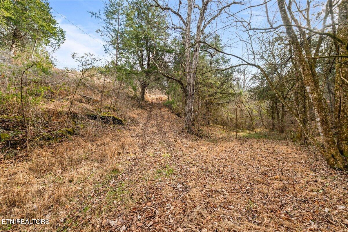 Little Sycamore Road Tazewell TN 37879
