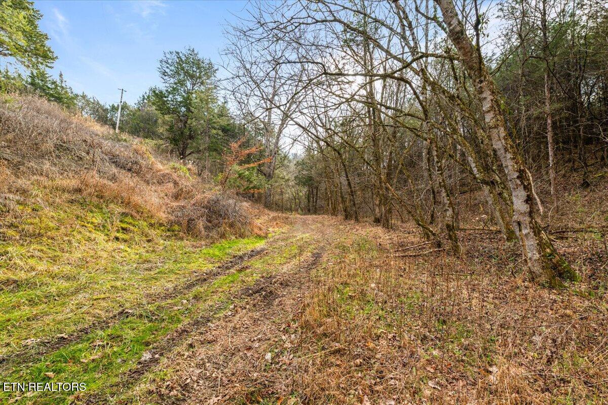 Little Sycamore Road Tazewell TN 37879
