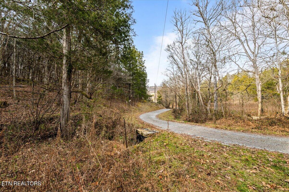 Little Sycamore Road Tazewell TN 37879