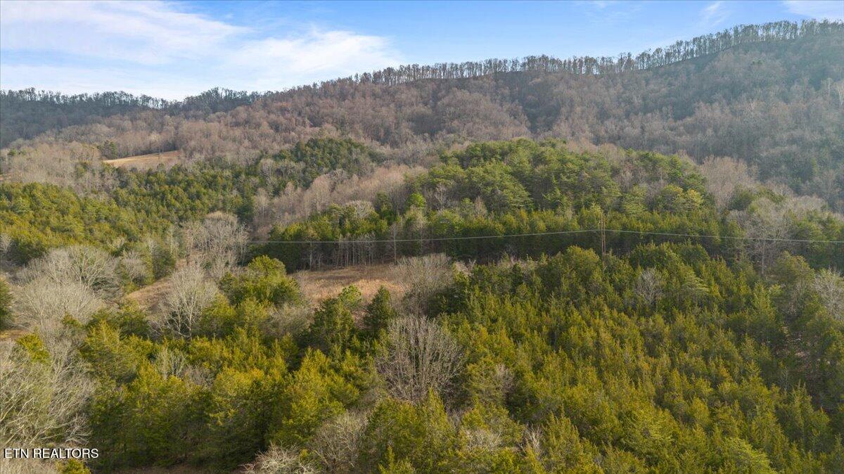Little Sycamore Road Tazewell TN 37879