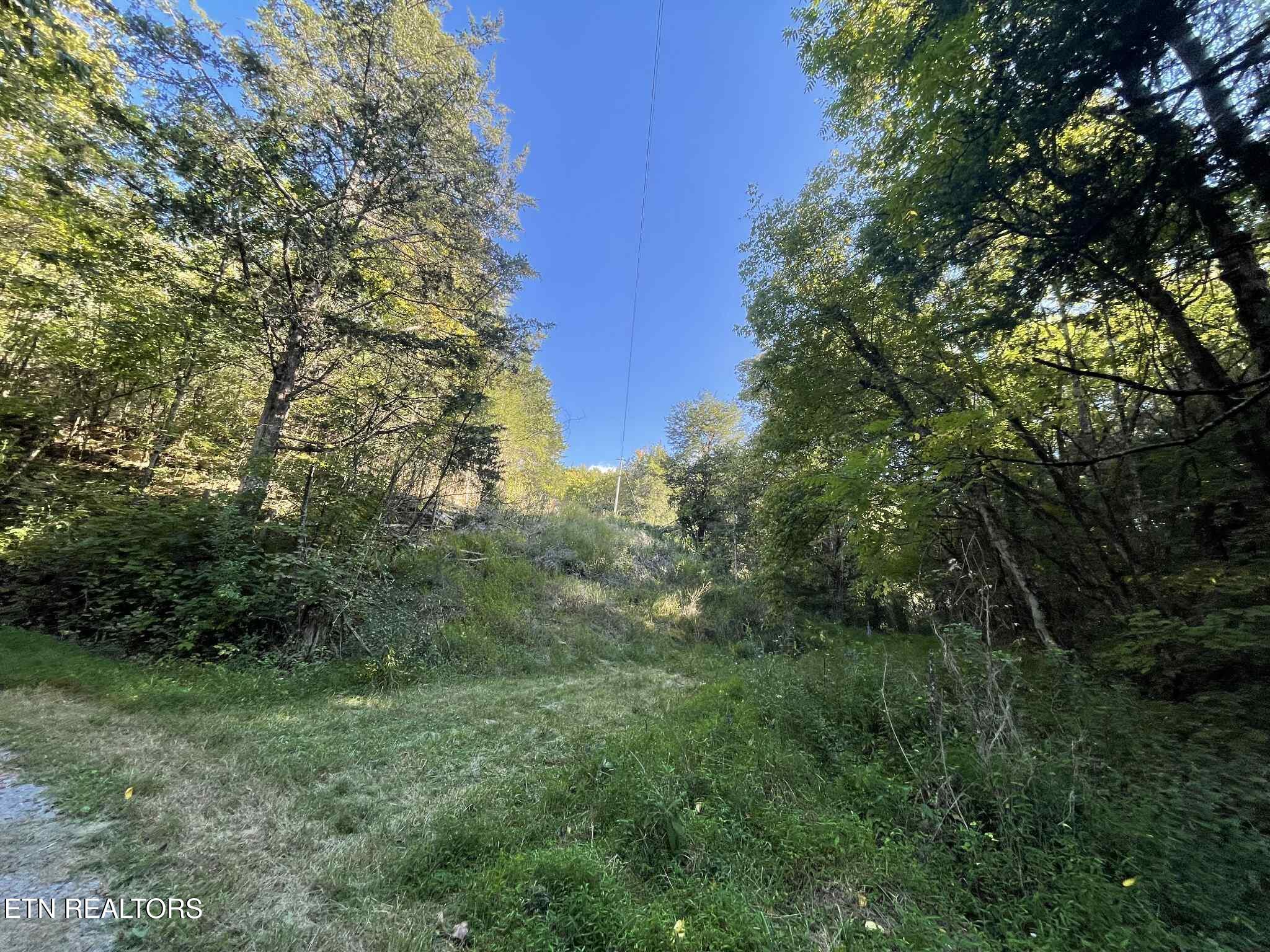 Little Sycamore Road Tazewell TN 37879