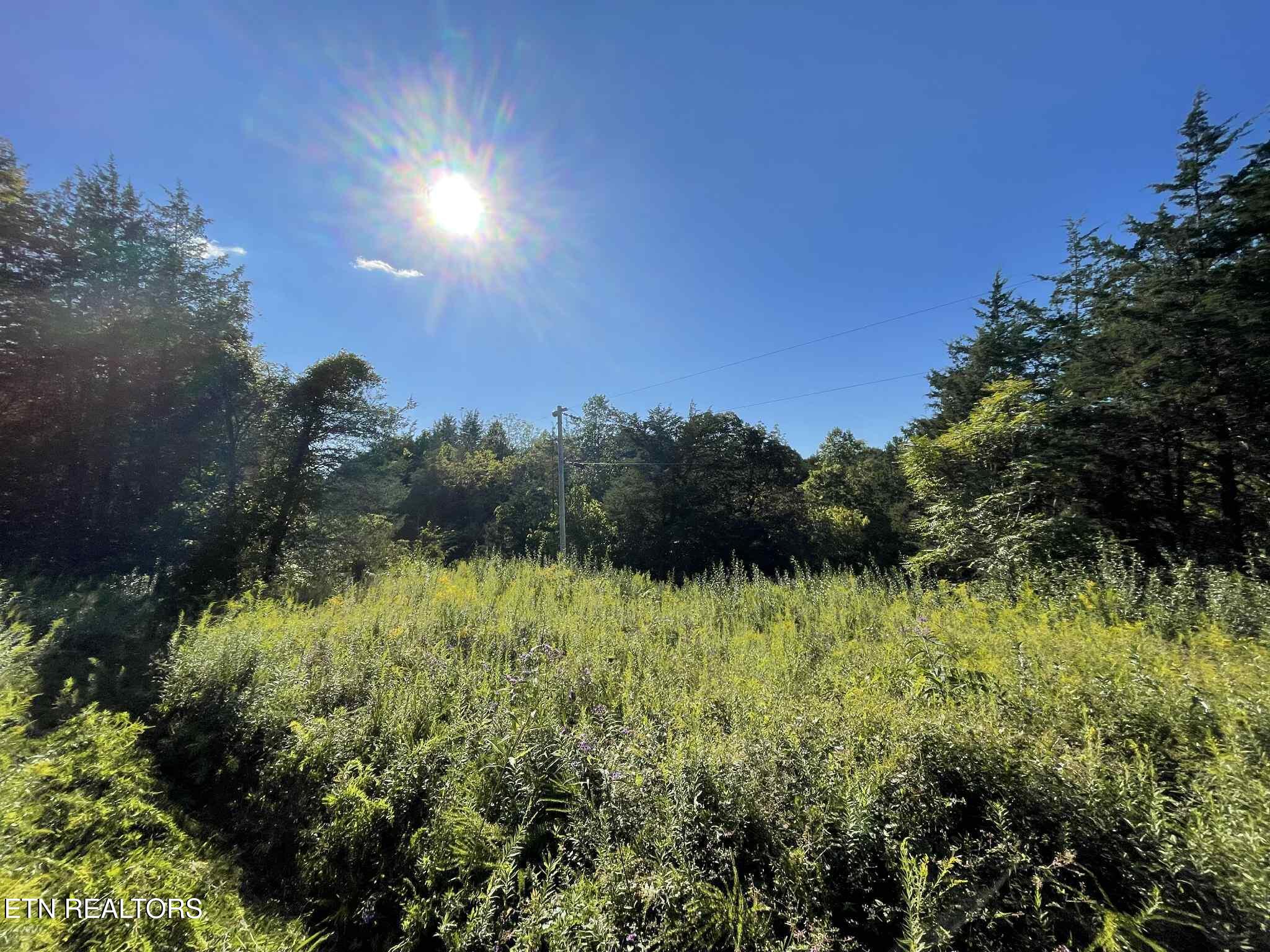 Little Sycamore Road Tazewell TN 37879