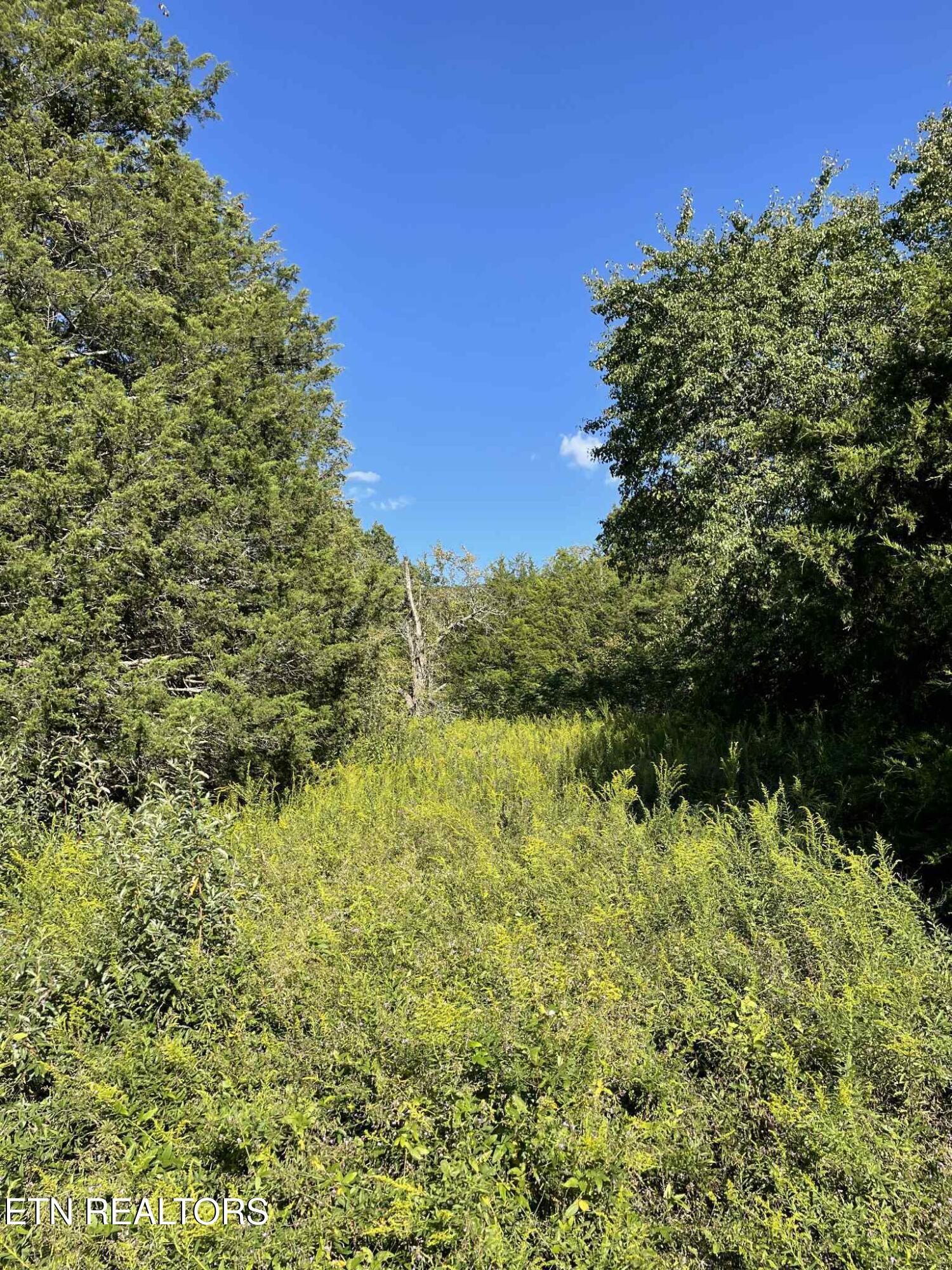 Little Sycamore Road Tazewell TN 37879