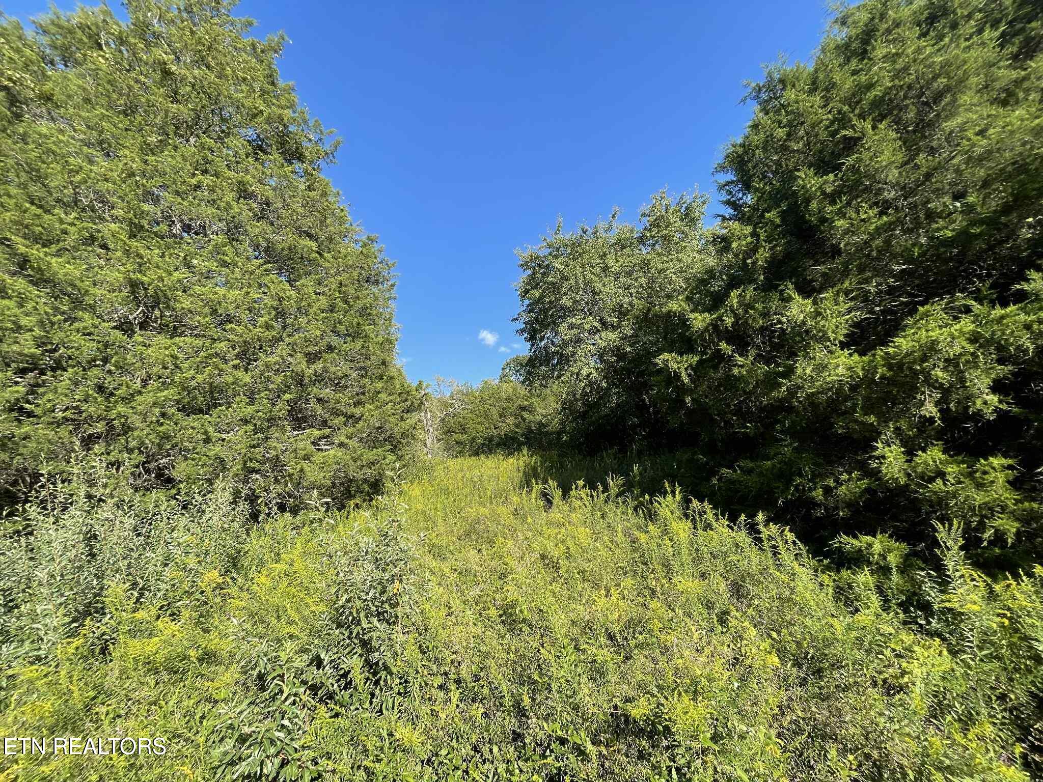 Little Sycamore Road Tazewell TN 37879