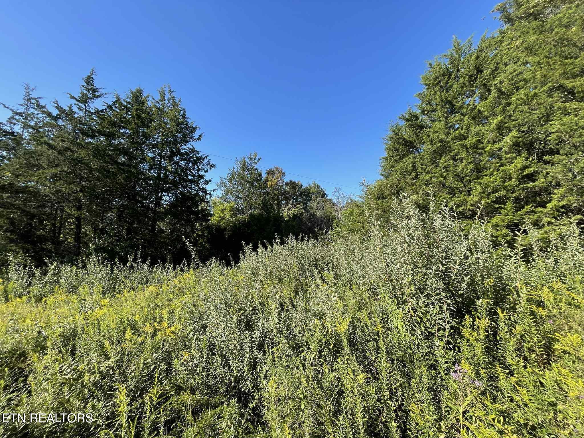 Little Sycamore Road Tazewell TN 37879