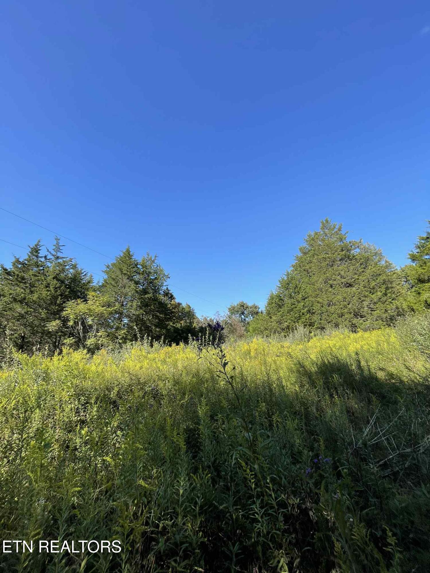 Little Sycamore Road Tazewell TN 37879