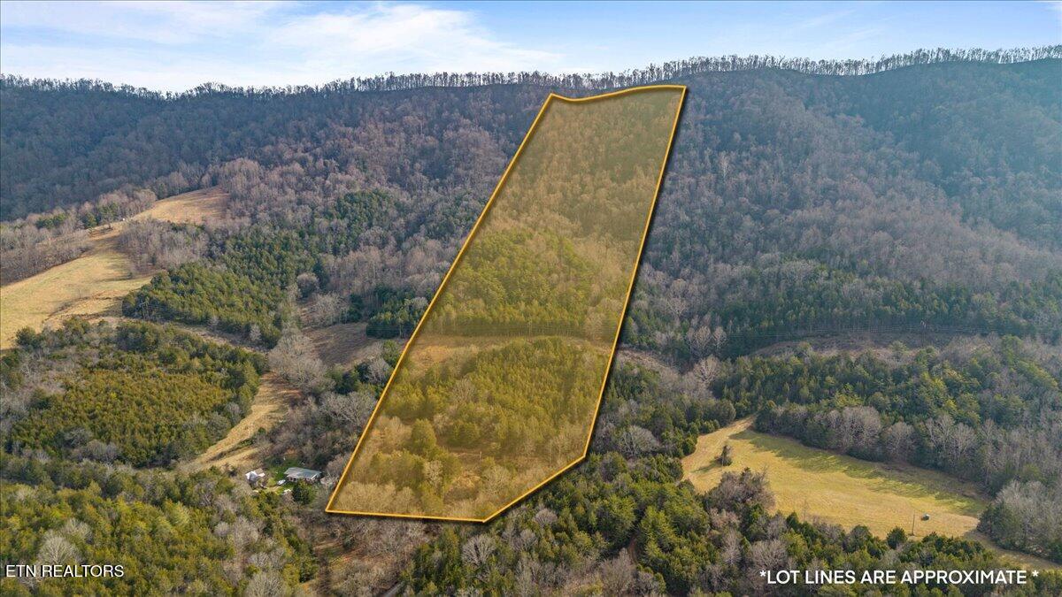 Little Sycamore Road Tazewell TN 37879