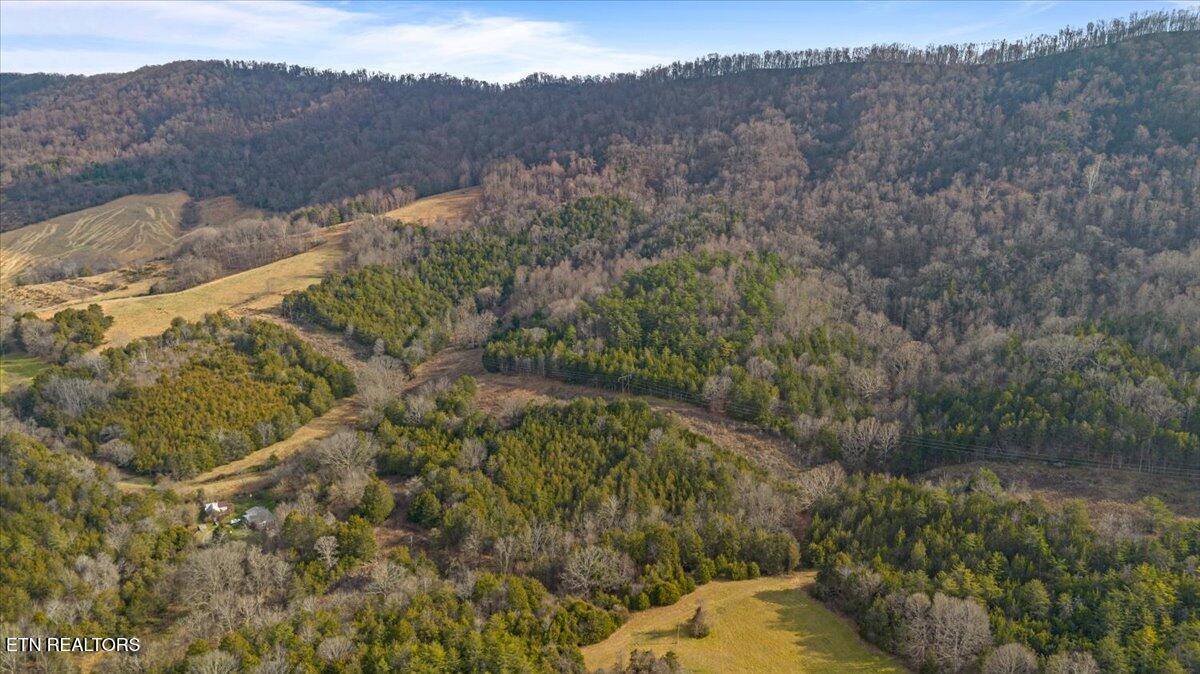 Little Sycamore Road Tazewell TN 37879