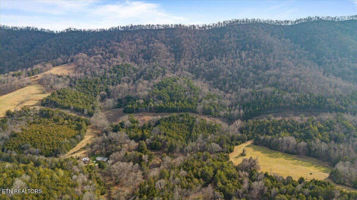 Little Sycamore Road Tazewell TN 37879