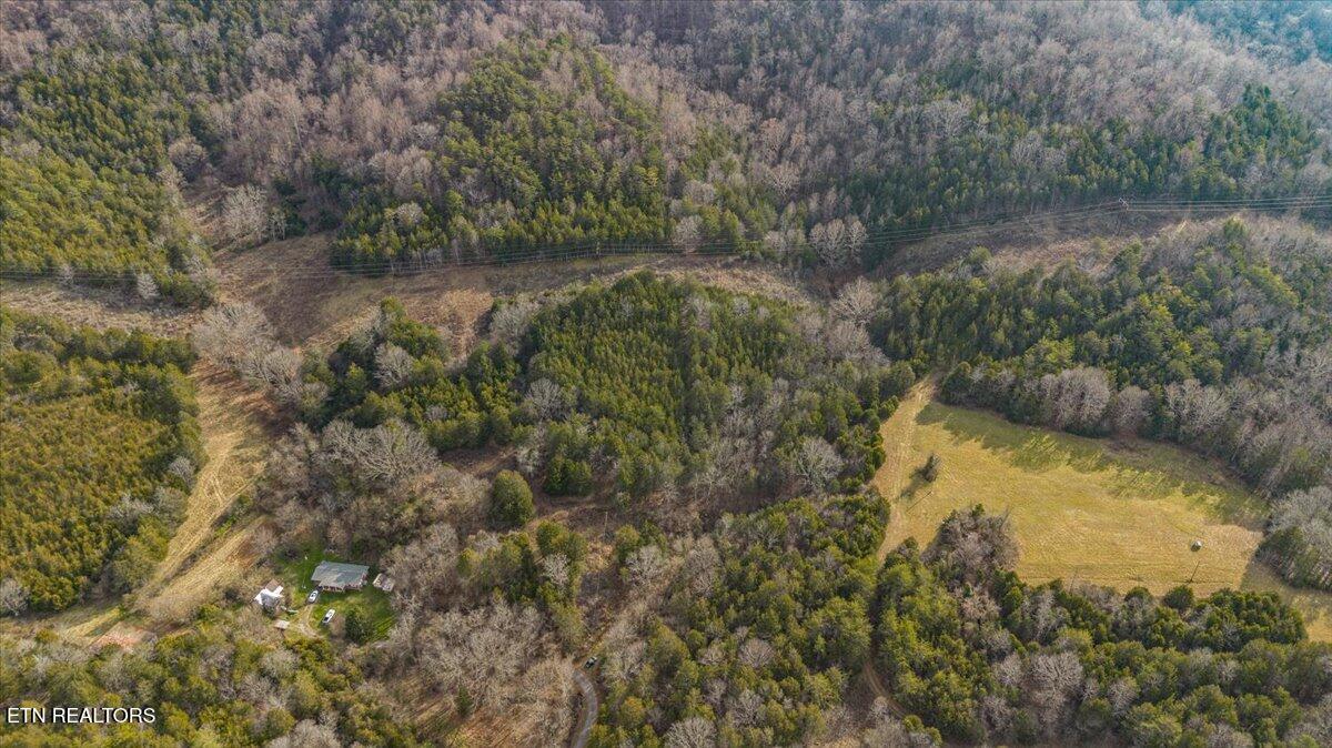 Little Sycamore Road Tazewell TN 37879