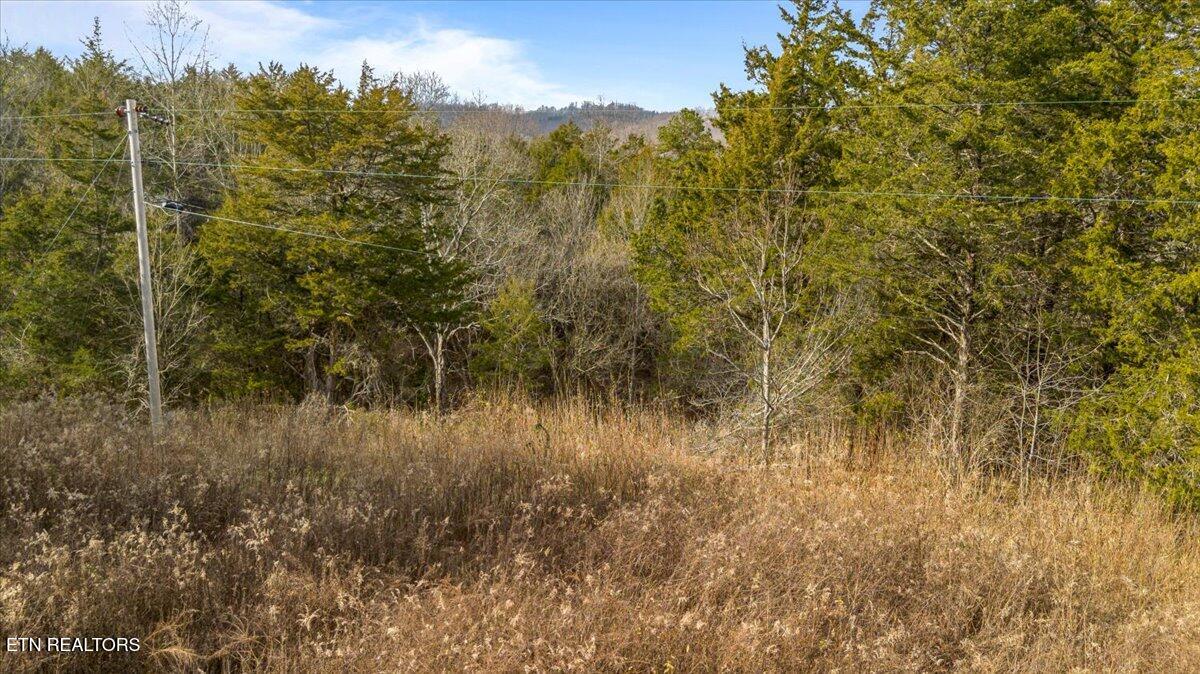 Little Sycamore Road Tazewell TN 37879