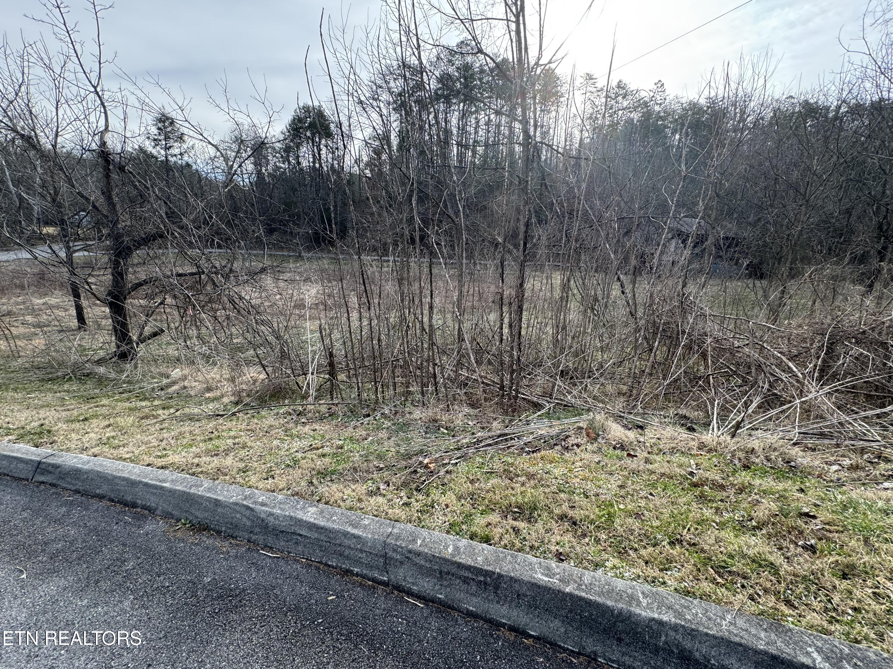 Lot 18 Katelyns Lane Sevierville TN 37862