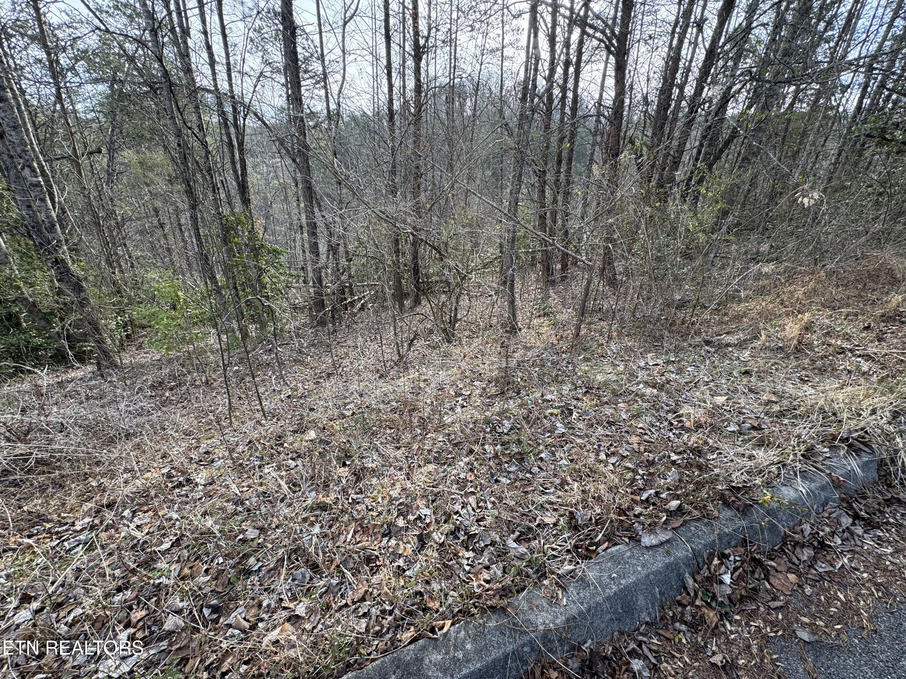 Lot 18 Katelyns Lane Sevierville TN 37862