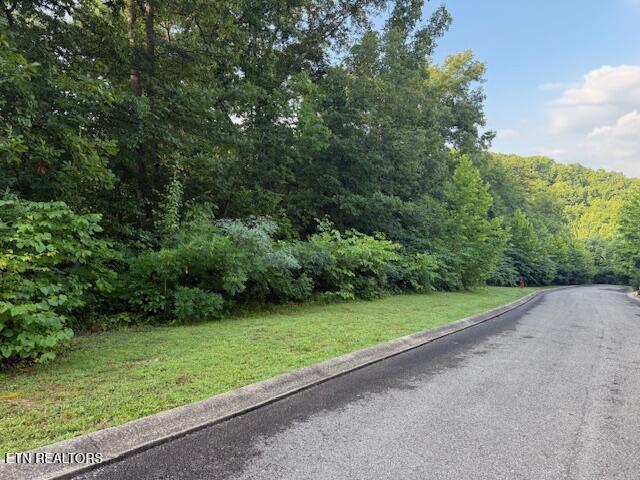 Lot 15 Woodland Creek Drive Dandridge TN 37725