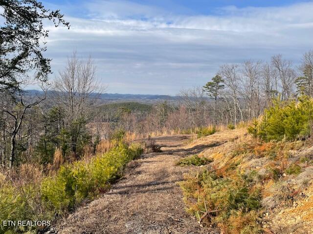 235 Indian Ridge Drive Tellico Plains TN 37385