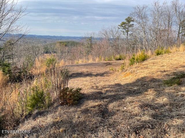 235 Indian Ridge Drive Tellico Plains TN 37385