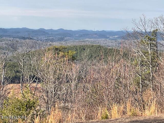 235 Indian Ridge Drive Tellico Plains TN 37385