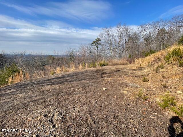 235 Indian Ridge Drive Tellico Plains TN 37385