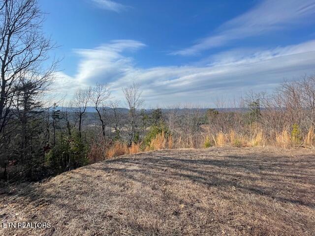 235 Indian Ridge Drive Tellico Plains TN 37385