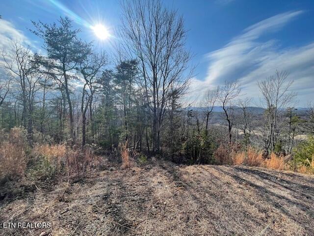 235 Indian Ridge Drive Tellico Plains TN 37385