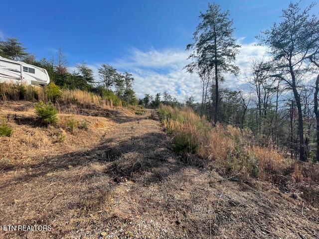 235 Indian Ridge Drive Tellico Plains TN 37385